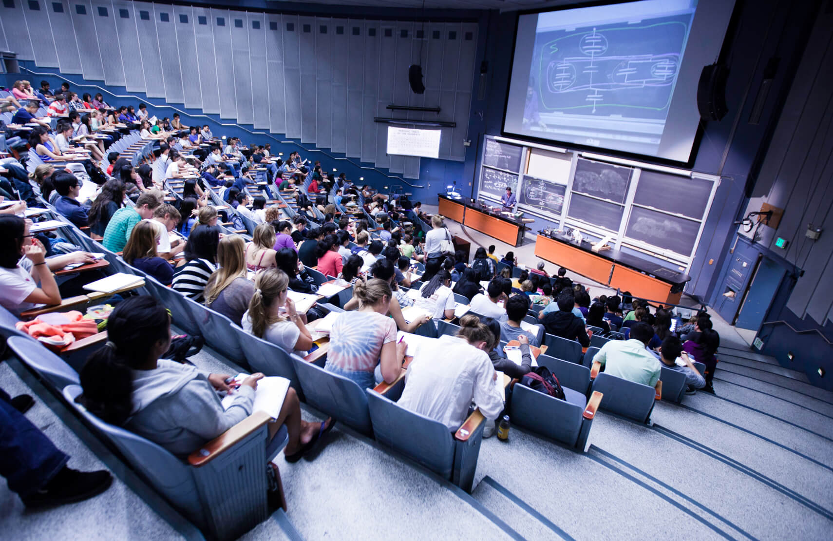 auditorium full of people