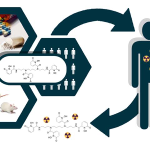 Graphic showing person with radiation on body and arrows pointing to scientific research