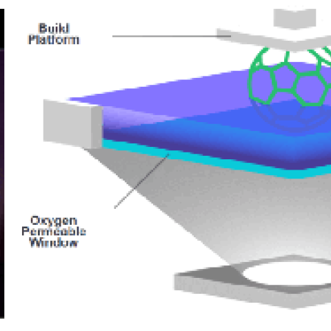 Image of Science magazine cover next to modeling schematic
