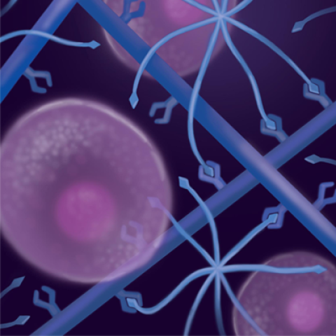 Rendered photo of cell matrix with purple cells and blue connecting lines