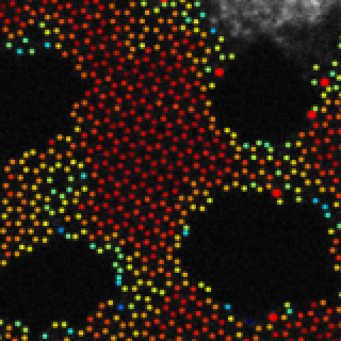 Schematic of electron microscopy