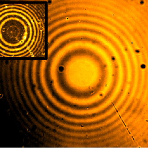 Schematic of surface force apparatus with orange background and rings of black throughout