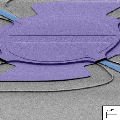 Schematic showing dissipation dilution with purple shape against grey background