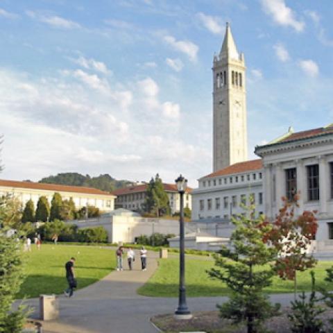 Wide shot of Berkeley campus with campanile in distance background