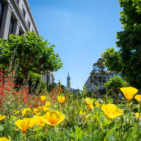 UC Berkeley Master of Analytics Information Session