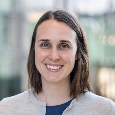CLIMB Voleon talk with Virginia Smith- Getting Lost in ML Safety Vibes