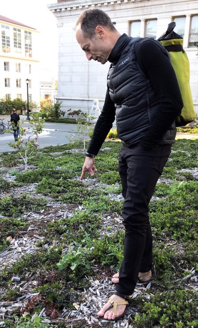 Stark leads a weed walk on campus. (Photo /Philip Stark)