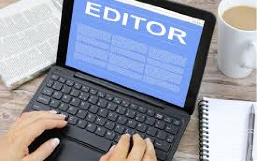 Public Editor