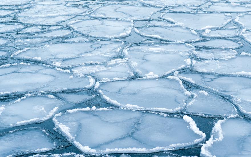 sea ice