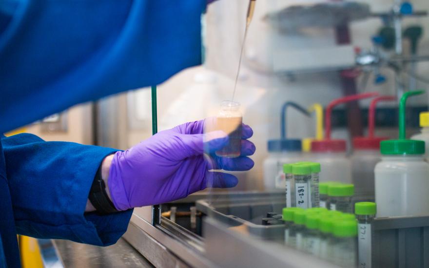 UC Berkeley scholars work at the Yaghi Lab.