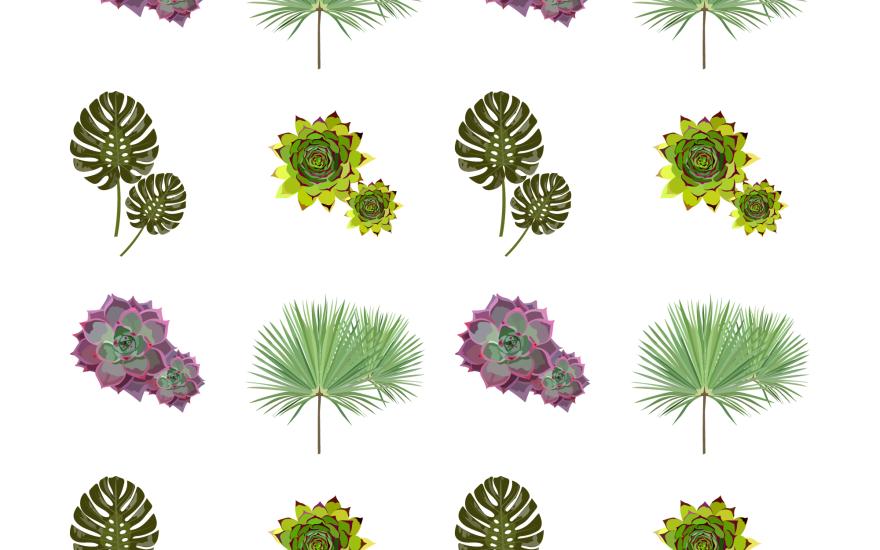 Vegetation Classification