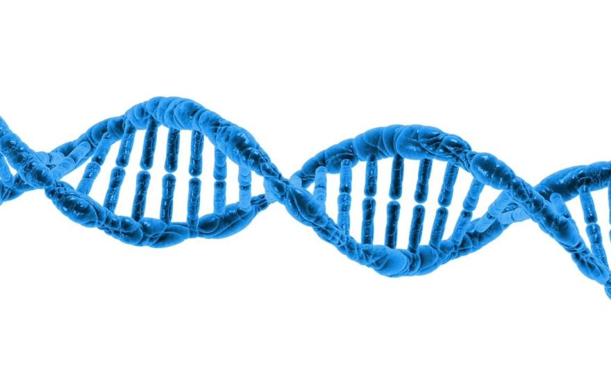 DNA