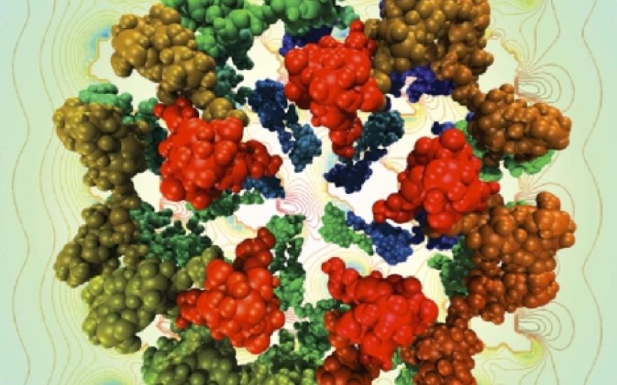 Red, green, and blue rendered molecule on green background. 