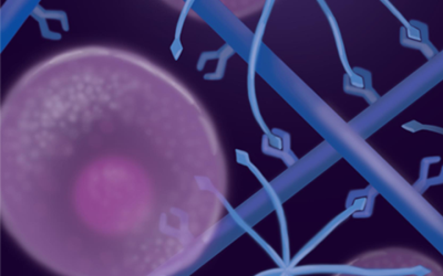 Rendered photo of cell matrix with purple cells and blue connecting lines
