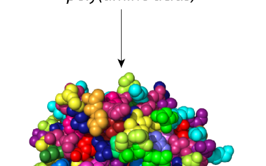 Schematic of poly (amino acids)