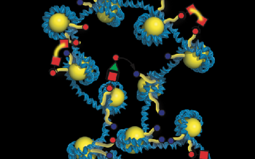 Multiscale Modeling of Chromosomal DNA and the Physical Processes Underlying Epigenetic Regulation: Nano Seminar series