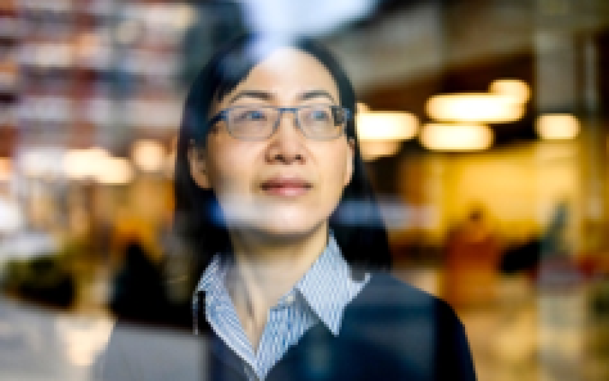 Berkeley IEOR Seminar Series: Wei Xie, Northeastern University