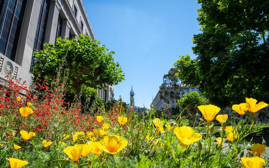 UC Berkeley Master of Analytics Information Session