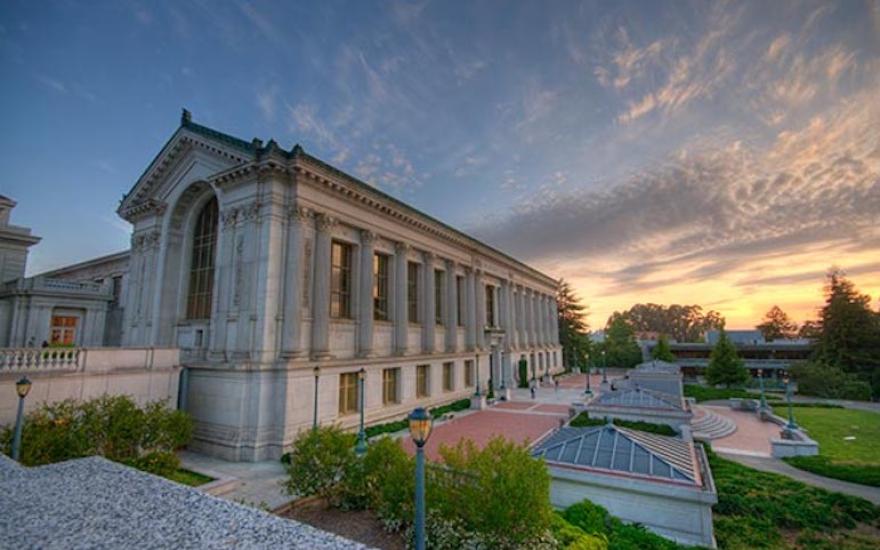 bids doe sunset